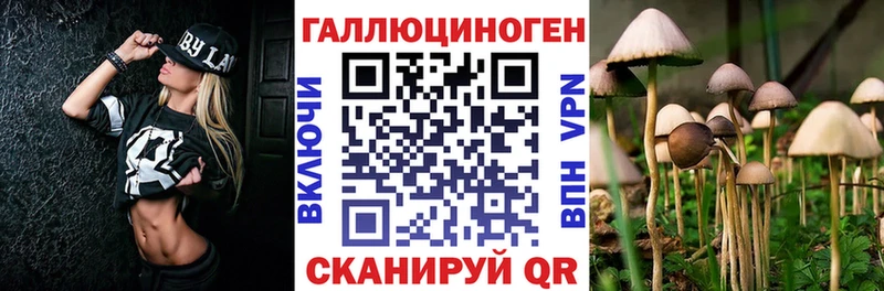 mega ССЫЛКА Губаха Галлюциногенные грибы ЛСД